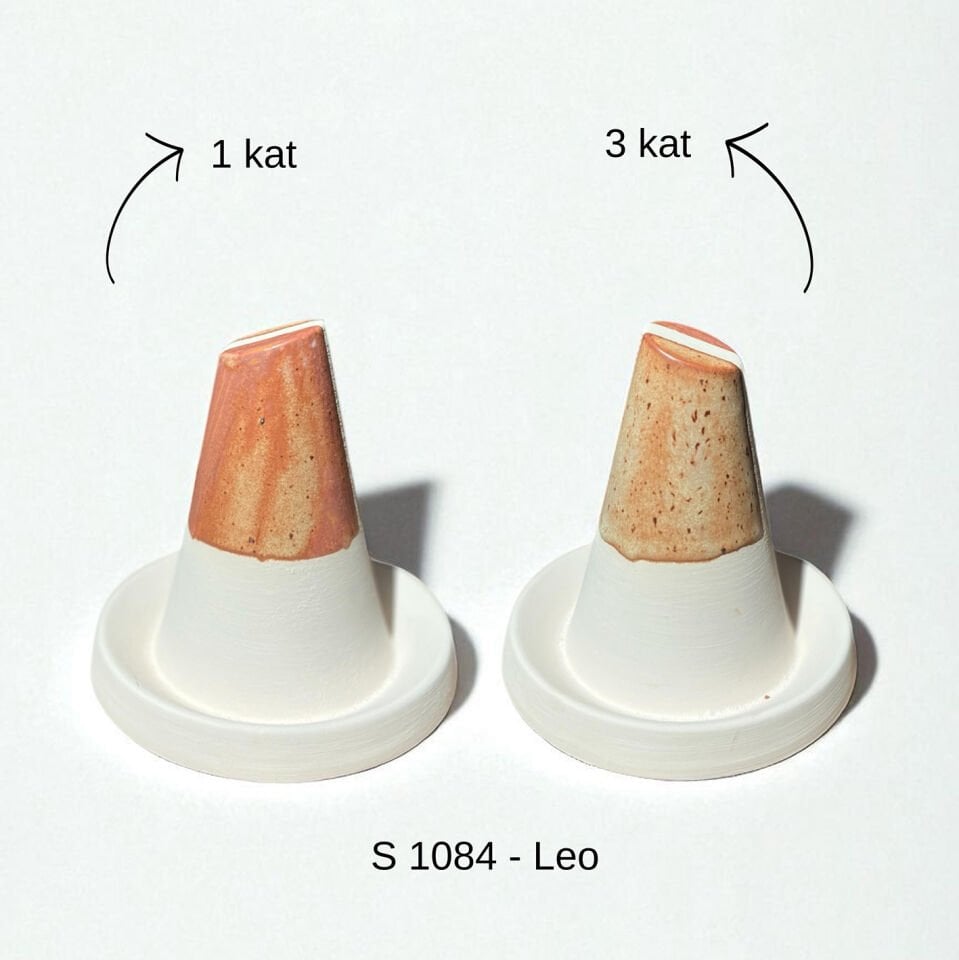 S 1084 - Leo