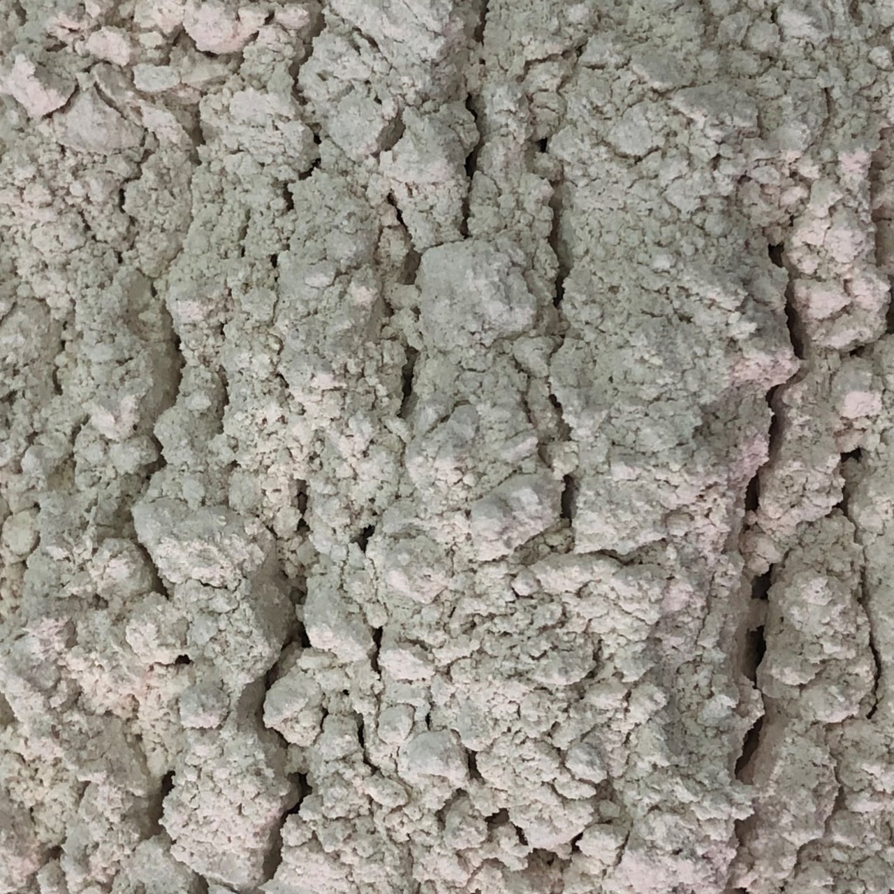 Manyezit